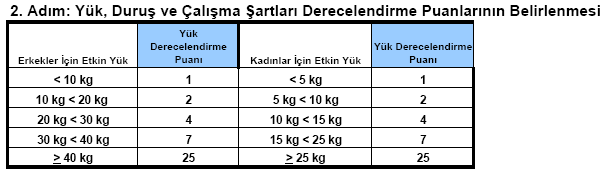 9. ERGONOMİK RİSK DEĞERLENDİRME FORMLARI ELLE TAŞIMA