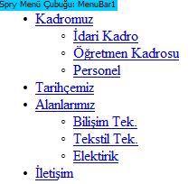 Yeni bir menü öğesi eklemek için( ), varolan bir menü öğesini kaldırmak için ise ( ) işaretlerine tıklamak gerekmektedir.