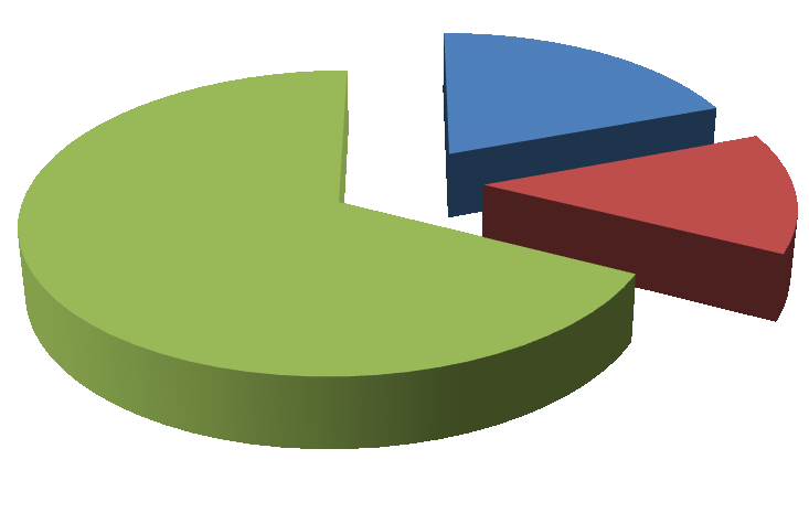 Grafik-5: 2012 Yılı İtibariyle Gider Gerçekleşmeleri 19% 68% 13% Pesonel Giderleri Mal ve Hizmet Alımları Proje vefaaliyet Destekleri 3.1.3. Mali Denetim Sonuçları 5449 sayılı Kalkınma Ajanslarının Kuruluşu, Koordinasyonu ve Görevleri Hakkında Kanun un 25.