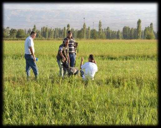 Foto Safari: Gezip görülen yerlerdeki doğal güzellikleri fotograflandırma isteği ile doğan turizm türüdür.