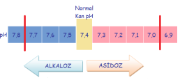 Suda çözündüklerinde H+ iyonu veren maddelere asit denir. Suda çözündüklerinde OH- (hidroksil) taşıyarak H+ iyonu alan maddelere ise baz adı verilir. Total ph ölçeği 0 ile 14 arasında değişir.