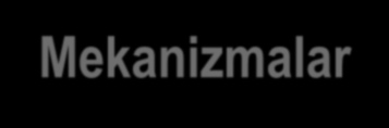 Mekanizmalar 1- Hapsedilmiş antijenlerin salınması Hücre içerisinde hapsedilmiş antijenler, organizma tarafından kendisine ait olarak tanınmamış olabilir.