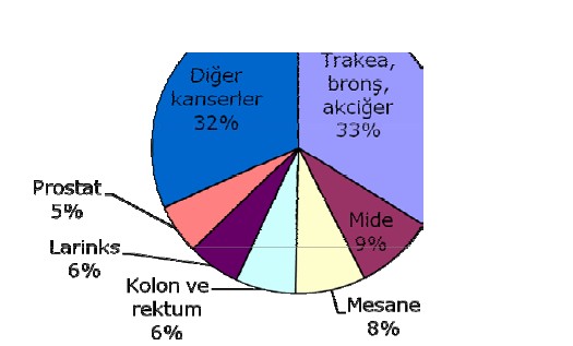 Yerleşim yerlerine göre