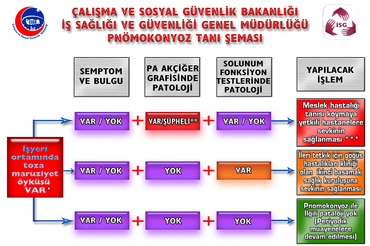 EK-2 *İşyeri ortamında toza maruziyet öyküsü incelenirken çalışanın; ayrıntılı meslek öyküsü alınmalıdır (En son yaptığı ve daha önce çalıştığı işler, çalıştığı bölümler, kullandığı ve çalıştığı