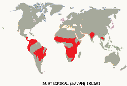 SAVAN İKLİMİ (TROPIKAL İKLİM) Yıllık sıcaklık ortalaması 20 C nin üstündedir.