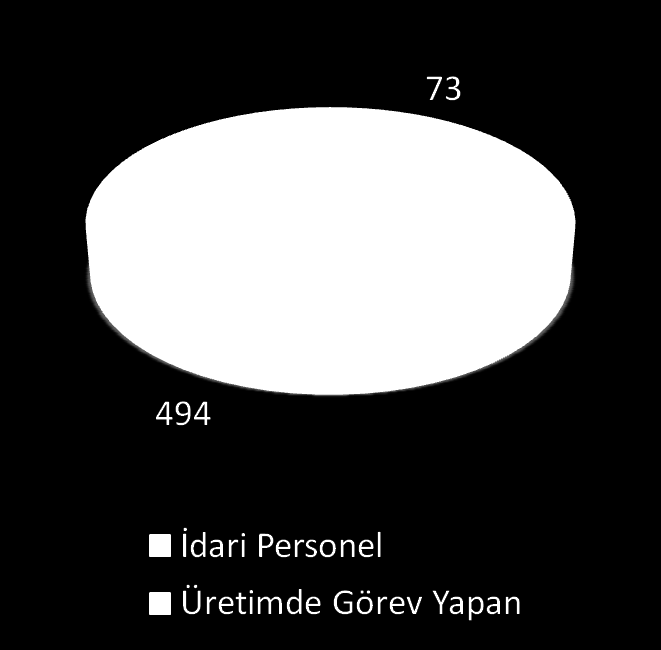 İNSAN KAYNAKLARI RAKAMLARLA PERSONEL SAYIMIZ İdari