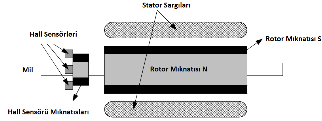 2 Konstrüksiyon Fırçasız doğru akım motorları yapı olarak