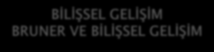 BİLİŞSEL GELİŞİM Sosyal çevrenin bilişsel gelişim üzerindeki etkisini vurgular. Kişisel-psikolojik süreçlerden önce, çevre ve kültür ayırtedici bir öneme sahiptir. Dil önemlidir.