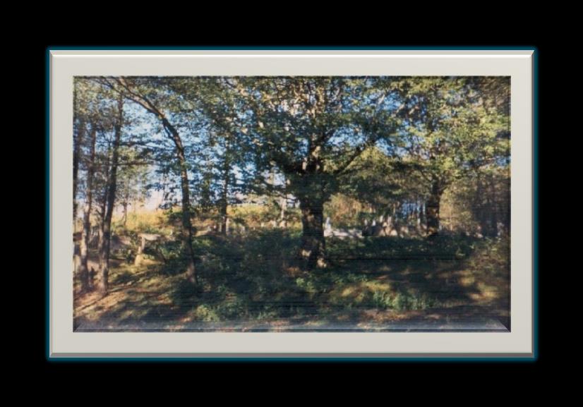 Ordu ili, Perşembe ilçesi, Çamarası Köyü sınırları içerisinde, Kirazlık Evliyası adıyla anılan alan üzerinde bulunan ağaçlar Trabzon Kültür ve Tabiat Varlıklarını Koruma Kurulu nun 06.10.