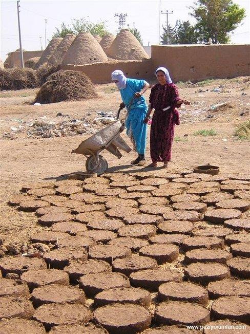 Hayvansal Kaynaklar Bitkisel atıkların yanı sıra hayvansal atıklar da önemli bir biyokütle enerji kaynağıdır. Hayvan gübresi en önemli biyokütle enerji kaynağıdır.