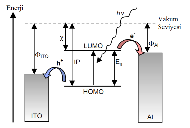 20 ġekil 2.5. Foton absorbsiyonu ve yük taşıyıcı transferleri (Spanggaard ve Krebs, 2004) arkasında boşluk bırakarak HOMO seviyesinden LUMO seviyesine çıkar ve eksiton olarak şekillenir.