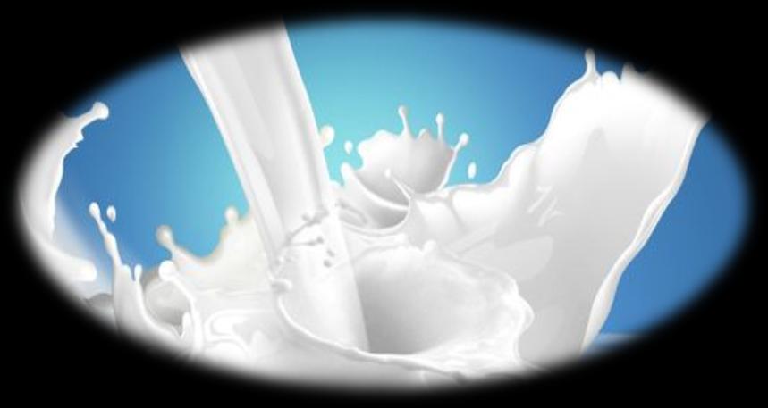 103-1 Süt ve Süt Ürünlerinin