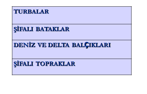 Doğal peloidler Halen geçerli olan sınıflandırma peloidlerin hidrojeolojik oluşum süreçleri ve