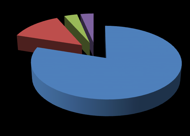 CİNSİYET ERKEK BAYAN 5;16% 27; 84% 13; 41% EĞİTİM DOKTORA DOKTORA DEVAM EDEN YÜKSEK LİSANS YÜKSEK LİSANSA DEVAM EDEN LİSANS 1; 3% 1; 3% 7; 22% 10; 31% DENEYİM YABANCI DİL 0-5 YIL 5-10 YIL 10-20 YIL