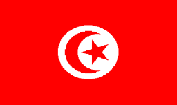 Tunus Hükümetin özelleştirmeleri desteklenmesiyle, ekonomi geçtiğimiz on yılda büyük bir ivme kazandı. 10.