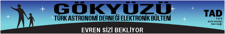 org Sayı: 31