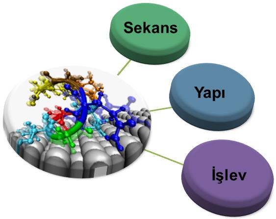 Yaşam Ağacı (The Tree of Life) Biology bilgi tabanlı bir bilimdir. Biyolojide verilerin analizi ve yorumlanması yeni gelen verinin daha önceki bilinen veriler ile karşılaştırılarak yapılır.