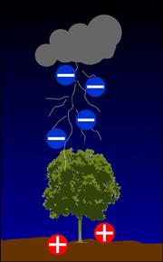 ELEKTRİKLENMENİN HAYATIMIZDAKİ ROLÜ Yıldırım ve Şimşek Şimşek: Elektrik yüklü bir bulut ile diğer bir bulut arasındaki elektrik boşalmasına şimşek denir.