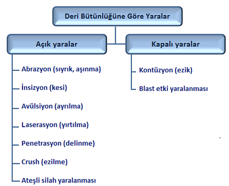 1.1.1.1. Deri Bütünlüğüne Göre Yaralar Şema 1.