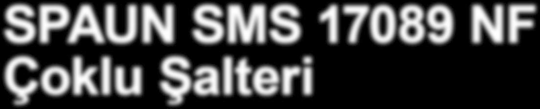 Ancak her iki aksamın yani şalter ve yükselticinin bir kasaya yerleştirilmiş olan sistemler de vardır. Bunlardan bir tanesi, Alman üretici SPAUN Electronic in SMS 17089 NF adlı modelidir.