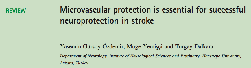 Seçkin dergilere iki derleme makale hazırladık Can restoring incomplete microcirculatory reperfusion improve stroke outcome after