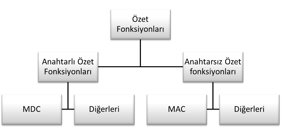 (MDC) ya da Message Integrity Codes (MIC) olarak da adlandırılabilmektedir. Adlarından da anlaşılacağı üzere tek parametreli özet fonksiyonları yalnızca mesaj tamlığı ile ilgilenir [12].