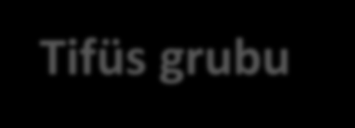 Riketsiyozlar Tifüs grubu Epidemik tifüs (R. prowazekii) Endemik tifüs (R. typhi) Çalılık tifüs Orienta (O.