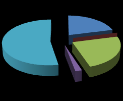 2013 Yılı Bütçe Giderleri Dağılımı (Fonksiyonel Sınıflandırmaya Göre ) 3% 0% 11% 1% 01 Genel Kamu Hizmetleri 02 Savunma Hizmetleri 84% 03 Kamu Düzeni ve Güvenlik Hizmetleri 08 Dinlenme, Kültür ve Din