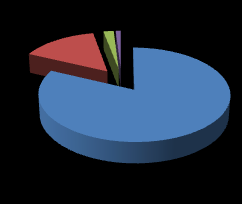 3% 2% 3% 2014 personel giderleri 10% 01.1 Memurlar 01.2 Sözleşmeli Personel 01.3 İşçiler 01.4 Geçiçi Personel 82% 01.