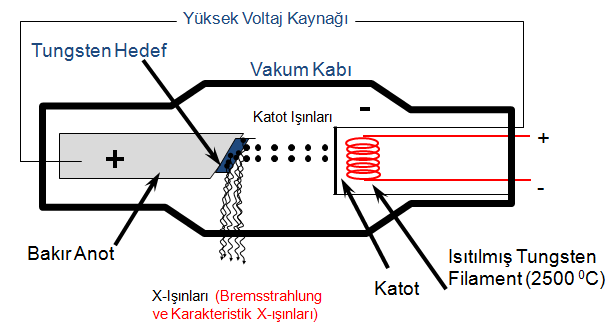 Röntgen Tüpü Bir X-ışının tüpünün çalışma prensibi: Havası boşaltılmış bir tüp
