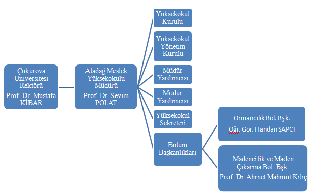 1.2.1. Akademik