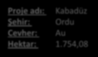 746,12 Proje adı: Kabadüz Şehir: Ordu Cevher: Au Hektar: 1.754,08 Proje adı: Fol-Ken Şehir: Trabzon Cevher: Cu, Ag, Pb, Zn Hektar: 10.