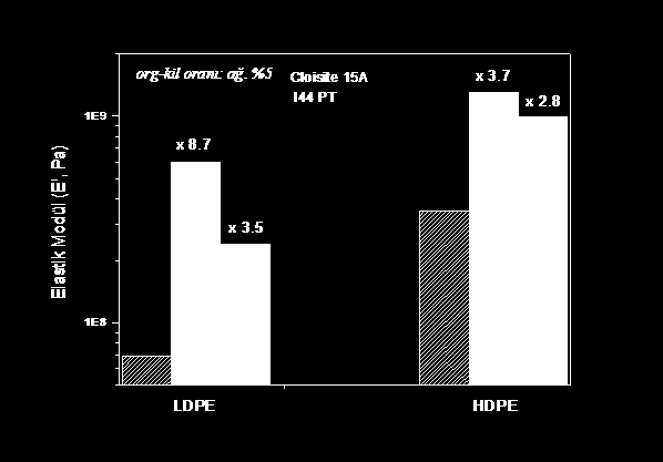 31 DMA Analizi