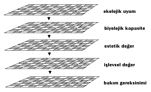 benzer şekilde ekolojik, biyolojik, estetik ve işlevsel ilkelerle birlikte bakım gereksinimlerini dikkate alan 5 aşamalı bir elemeye dayalı değerlendirmeye tabi tutulmalıdır (Şekil 1).