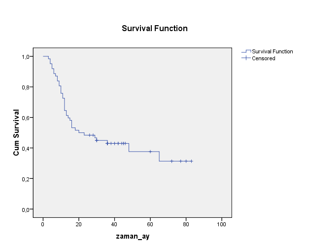 Çalışma grubumuzu oluşturan mide kanseri hastalarının evrelere göre 5 yıllık sağkalım oranları Grafik 1 de Kaplan Meier Grafiği ile gösterilmiştir.