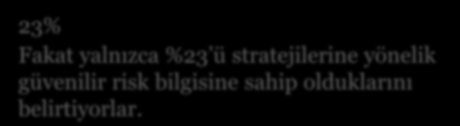 CEO lar risk hakkında ne düşünüyorlar?