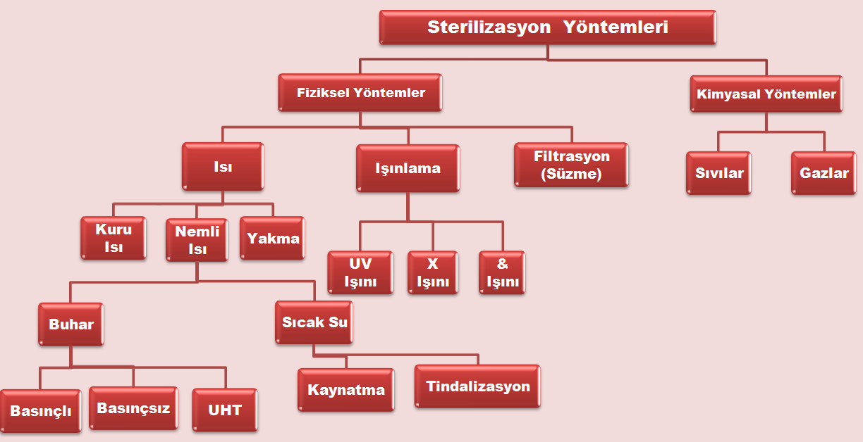 1.3.1.1. Sterilizasyon Bir cisim veya madde üzerinde bulunan bütün saprofit ve patojen mikroorganizmaların sporlu ve sporsuz şekillerinin öldürülmesi işlemine, sterilizasyon denir.