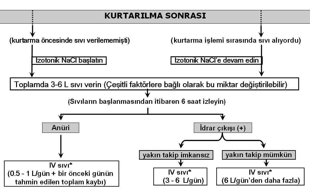 4 I.A2. Kurtarma işlemi sırasında yapılacaklar: - Kurtarma sırasında sıvı infüzyonuna devam edin.