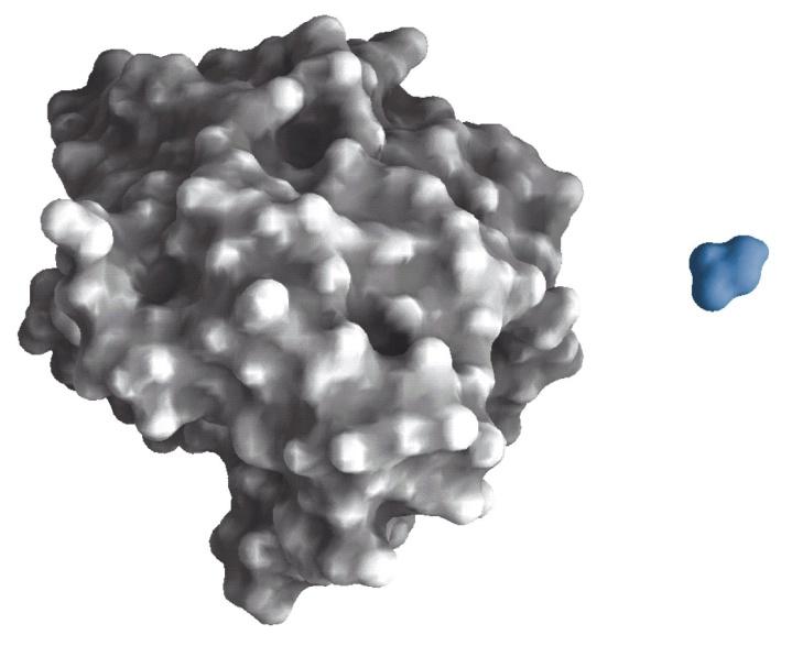 Proteinlerin 3 Boyutlu Yapısı Proteinin kovalent iskeletinde yüzlerce tek bağ var ve bunların