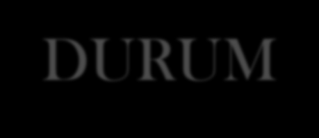 MALİ DURUM 2012 YILI OCAK-TEMMUZ TAHMİNİ-GERÇEKLEŞEN GİDER DURUMU GİDER TAHMİNİ GİDER (2012 YILSONU) GERÇEKLEŞEN (İLK 7 AYLIK) REALİZE % YÖNETİM+2012 GENEL KURUL 209.760,00 147.