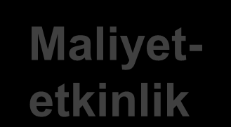 NICE ın neden sabit bir maliyet etkinlik eşiği yok?