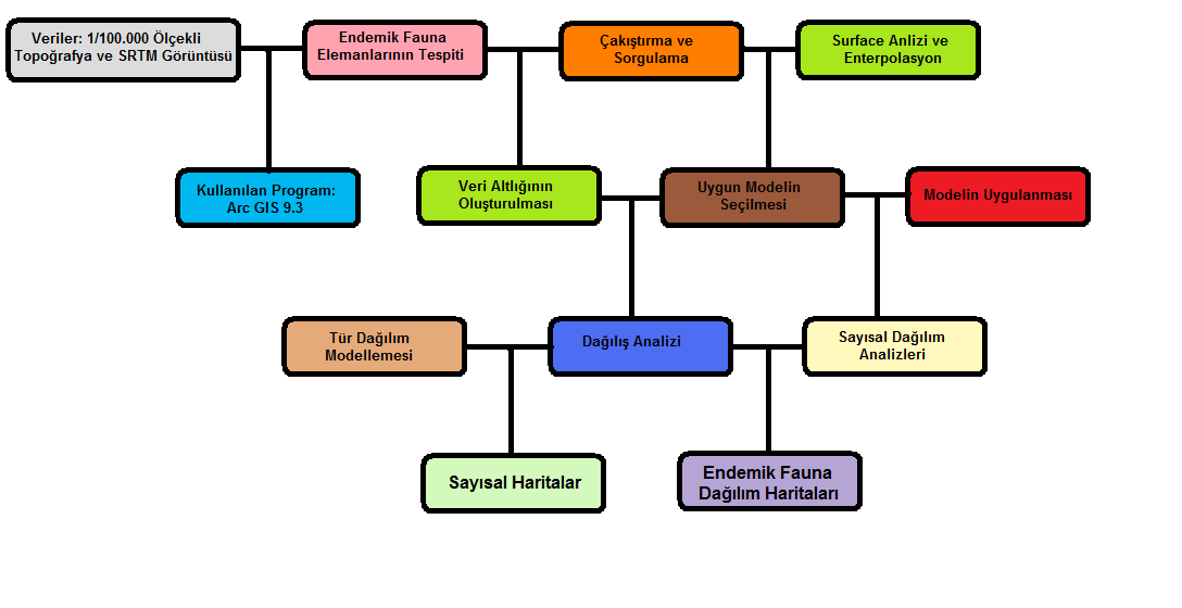 - 37 - Çalışmanın akış şemasında verilerin düzenlenmesi, veri ağının oluşturulması ve çakıştırılması, uygun yöntemin seçilmesi, tür dağılımının mekâna yansıması ve sayısal haritalarının üretilmesi