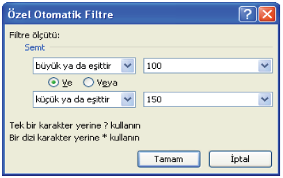 Ve-Veya Deyimlerini Kullanmak Özel Otomatik Filtre penceresinde bulunan