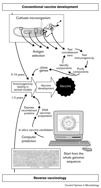 Tersine aşı geliştirme (Revers vaccinology) Mikroorganizmaları üretmeksizin, gen sekanlarına ilişkin bilgiden hareket