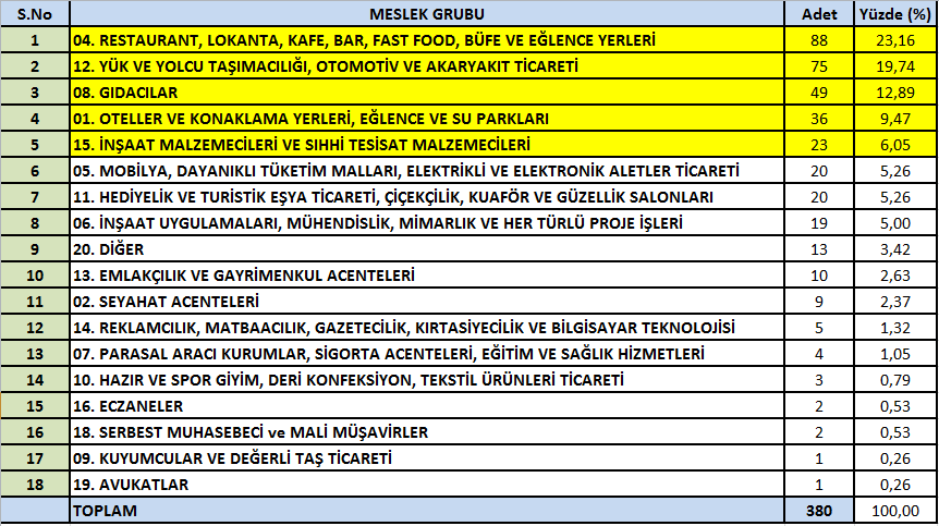 GÜZELÇAMLI DA FAALİYET GÖSTEREN FİRMALARIN MESLEK