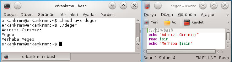 Değişkenler tanımlanırken bazı kurallara uymak gereklirdir. Bunlar: Değişkenler sayısal bir değer ile başlayamaz. Örneğin,1a, 135b olamaz. Değişkenlerde küçük/büyük harf duyarlılığı bulunmaktadır.