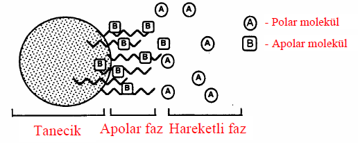 HPLC DE FAZ SEÇİMİ Kolon Normal Faz Ters Faz Sabit Faz Polaritesi Yüksekten ortaya Ortadan