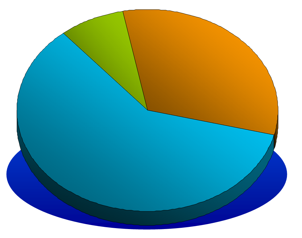 Günlük Enerji Sarfı Beslenmenin termik etkisi Fiziksel aktivitenin enerjisi İstirahat halinin enerjisi 8% 17% 8% 32% 75%