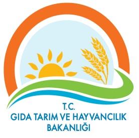 DENETİMLER GIDA GÜVENİLİRLİĞİ Bakanlık Gıda Kontrol Planı İl Müdürlükleri Yıllık Kontrol Programı Bimer, Alo 174, İhbar ve Şikayet Dilekçeleri 81 İl