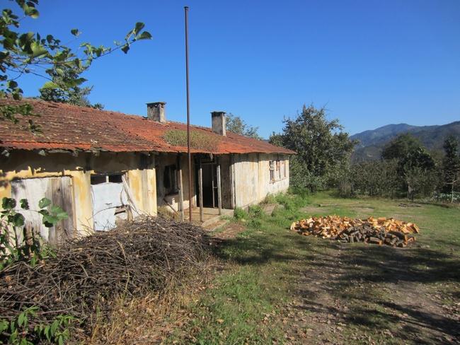 Demircili İlköğretim Okulu ADA/PARSEL/PAFTA YÜZÖLÇÜMÜ 5.